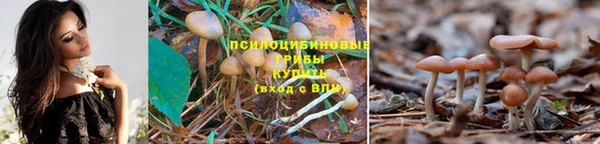 Альфа ПВП Абаза