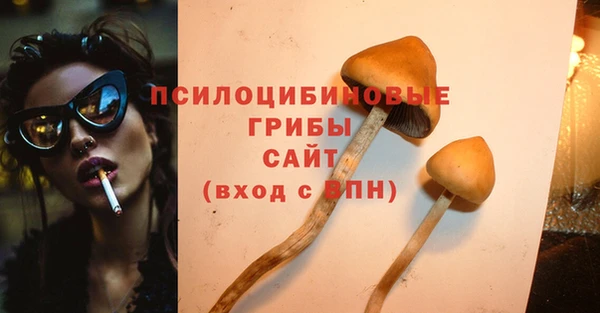 сатива Алексин