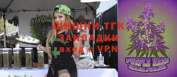 сатива Алексин