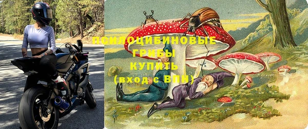 сатива Алексин